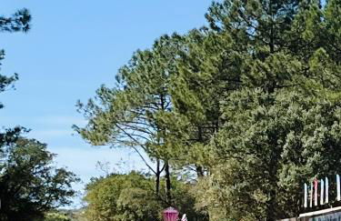 La Dolce Villa, entre Lac et Océan - Foto 33