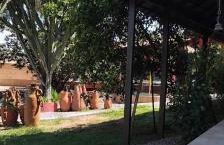 Refugio Namastê - Sheila - Foto 7