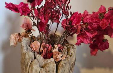 Amantes da Serra Ibitipoca, venha e surpreenda-se! - Photo 31