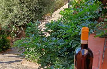 Grazioso bilocale a Porto Rotondo in Costa Smeralda - Photo 19