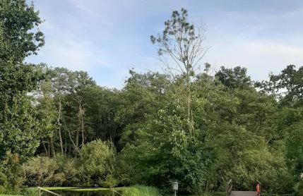 Ferienwohnung Nordlicht - Foto 19