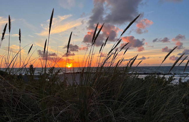 12 Person Holiday Home in Hundested - Foto 20