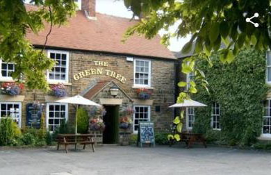 The Tree House - Foto 7