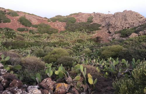 Accogliente Bilocale Linosa - Foto 21