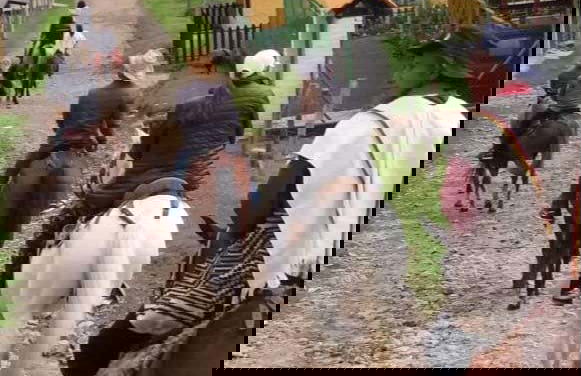 Silvia Horseback Riding Tour - Photo 2