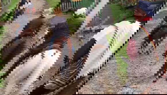 Riding through Silvia