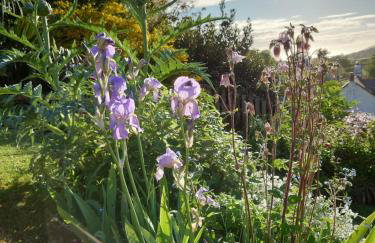 Fern Cottage Annexe - Foto 12