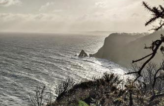 Darracott Farm Cottage - Foto 37