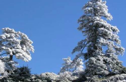 Casa las tres Conchas - Foto 18