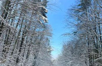 Domki na Kaszubach u Madzi - Foto 58