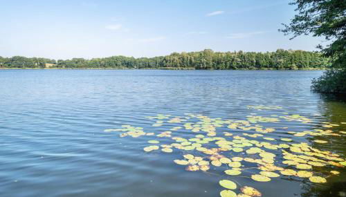 Fachwerkferienhaus - Foto 4