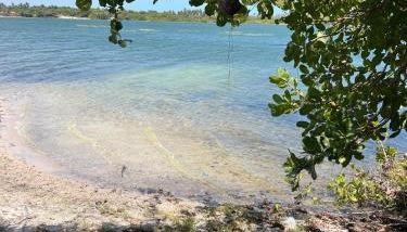 Casa da Lagoa near Barrinha - Foto 5