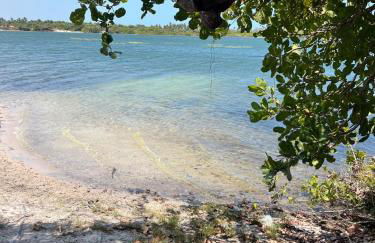 Casa da Lagoa near Barrinha - Foto 5