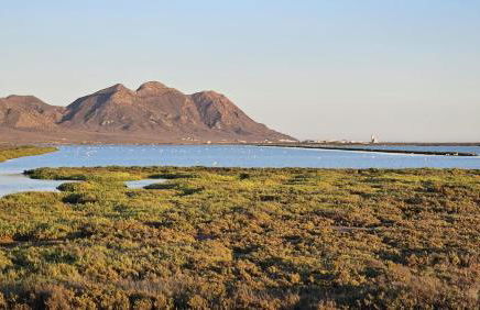 Apartamento en Cabo de Gata Urbanización CABOSOL - Foto 19
