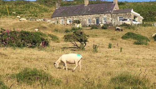 1 Bryn Tirion Uchaf - Foto 3