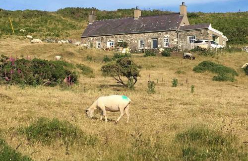 1 Bryn Tirion Uchaf - Foto 3