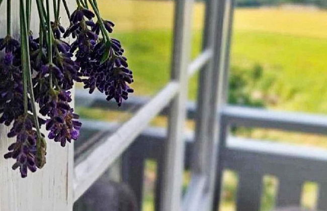 6 Person Holiday Home in Mellerud-by Traum - Foto 13