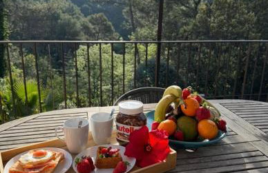 Maison avec piscine privée entre Marseille et Cassis - Photo 21