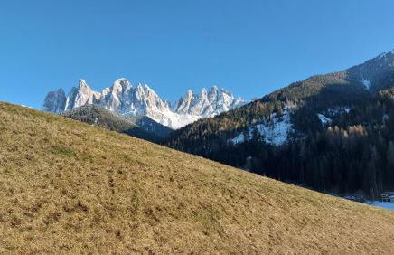 Dolomiten Home - Photo 4