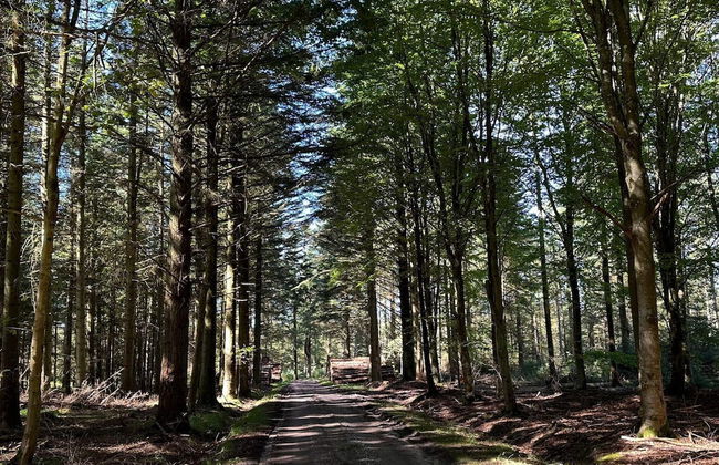 4 Person Holiday Home in Thisted - Foto 20