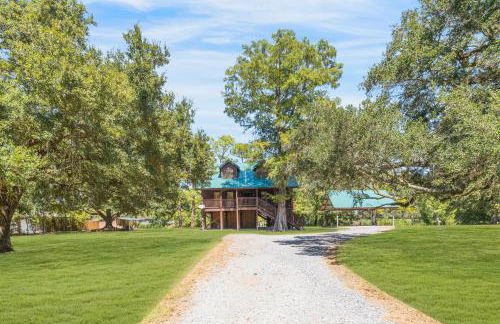 Experience Louisiana, Cabin on Bayou Petite Anse - Foto 3