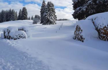 Große gemütliche Ferienwohnung in Schwarzwaldhof - Foto 23