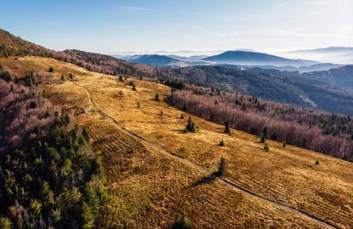 Apartamenty Black Lion - Foto 44