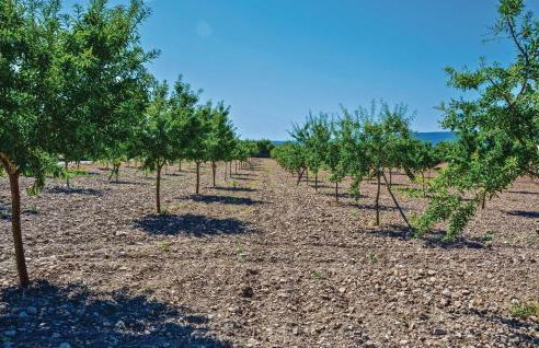 Amazing Home In Santa Maria - Foto 22