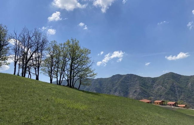 Azienda Agricola Saint Hubert - Foto 30