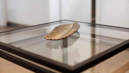 Schönes Apartment am Kaiserstuhl - Foto 5