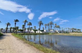 Can Carles - Delta del Ebro - Foto 59