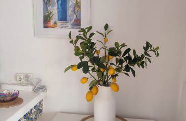 vibes menorca - Foto 9