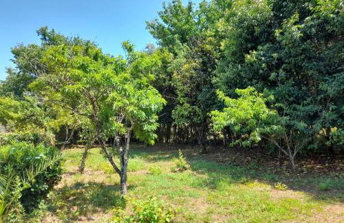 Lemontree Apartments - Foto 76