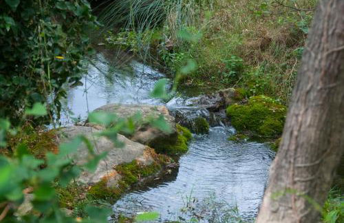 La Remulla - Foto 23