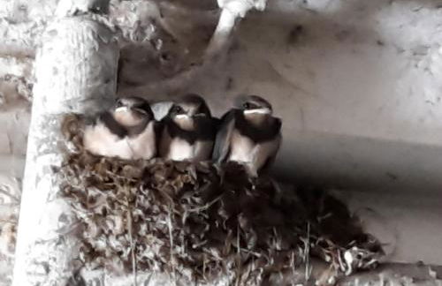 Sulzerhof - Photo 11