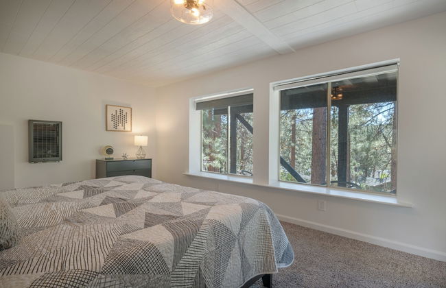 Forest Escape - Foto 3