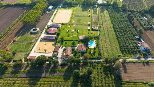 Family Farm Soc. Agr. a r.l. - Foto 5