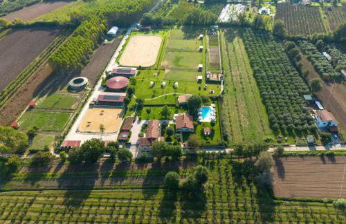 Family Farm Soc. Agr. a r.l. - Foto 5