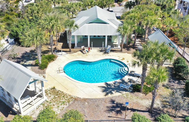 The Sea Life - Foto 52