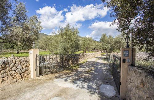 Finca Barons - Foto 36