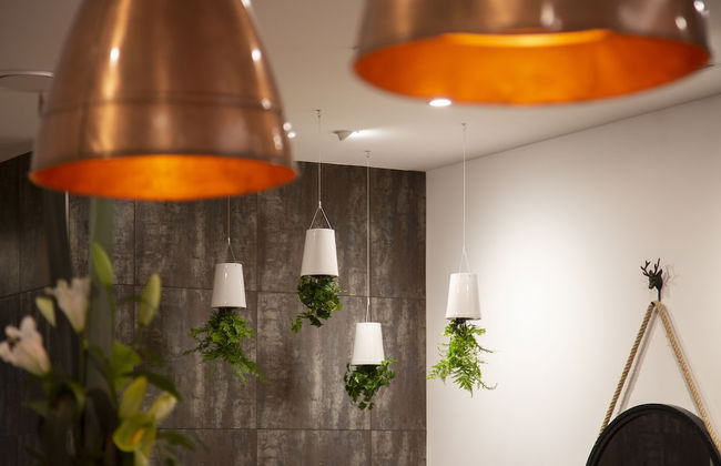 Wyndham Garden Remarkables Park Queenstown - Foto 4