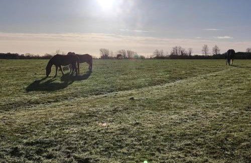 La Bulle Bigoudène - Foto 18