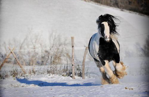 B&B Cà Bianca dell'Abbadessa - Foto 36