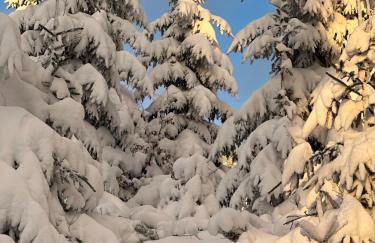 Black Deer - z Sauną na Tarasie, Jacuzzi i Widokiem na Góry - by Deer Hills Luxury Apartments - Foto 24