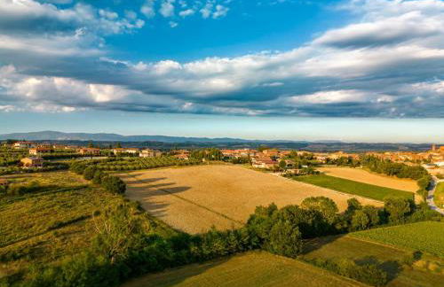 Montepulciano - La Casetta del Pian delle Noci - Foto 18