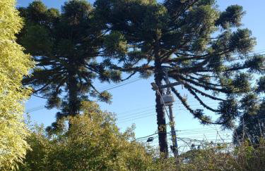 Apartamento Flor de Canela - Foto 36