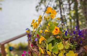 The Kenai River King - Foto 18