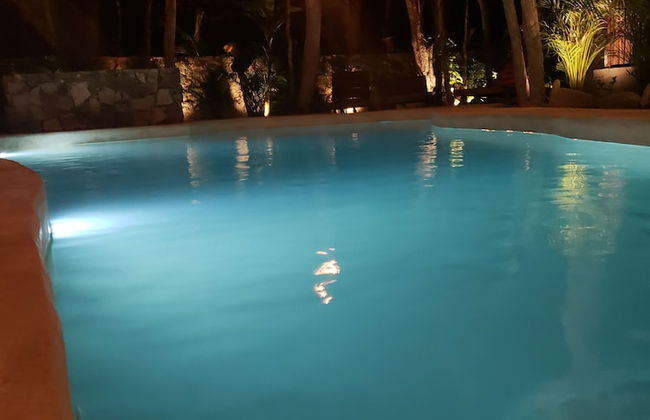 Jungle Penthouse - Photo 18