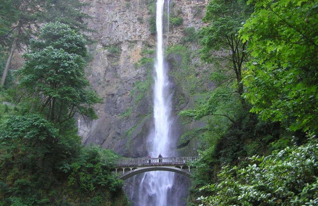 Trolebús turístico de las cascadas de Portland - Foto 2