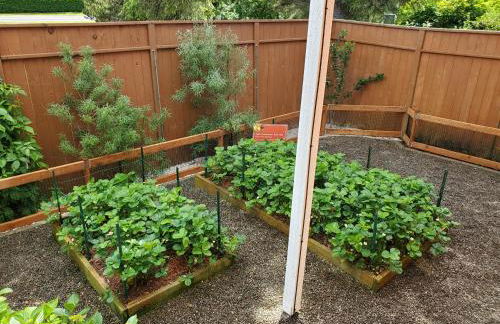 Sunkissed 3BR beach getaway - dog-friendly fenced yard, firepit, glimpse ocean views, near beach access, sleeps 8 - Foto 26